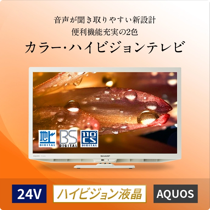 シャープ 2T-C24DEW テレビ AQUOS 24型