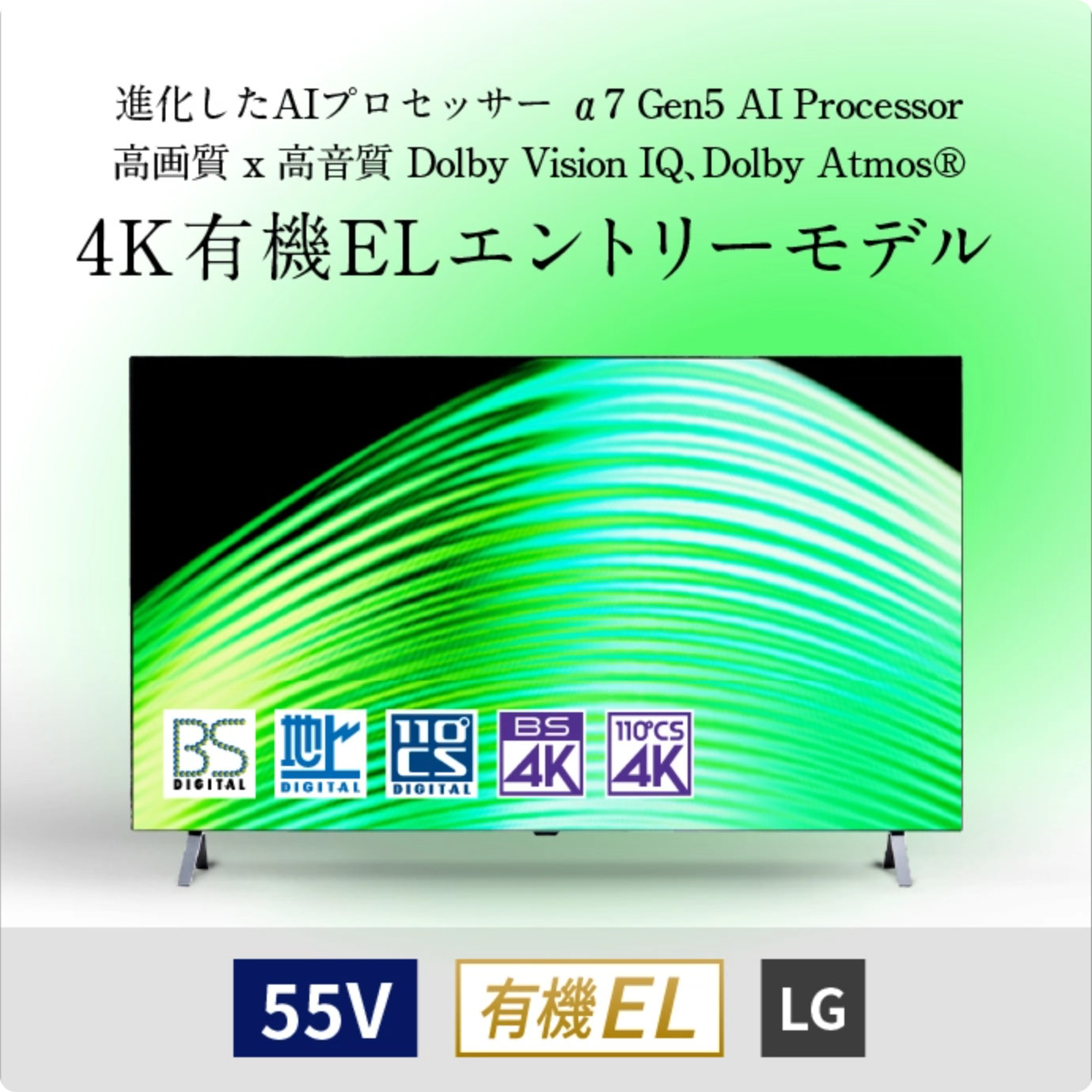 LG OLED55A2PJA テレビ 55型